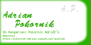 adrian pokornik business card